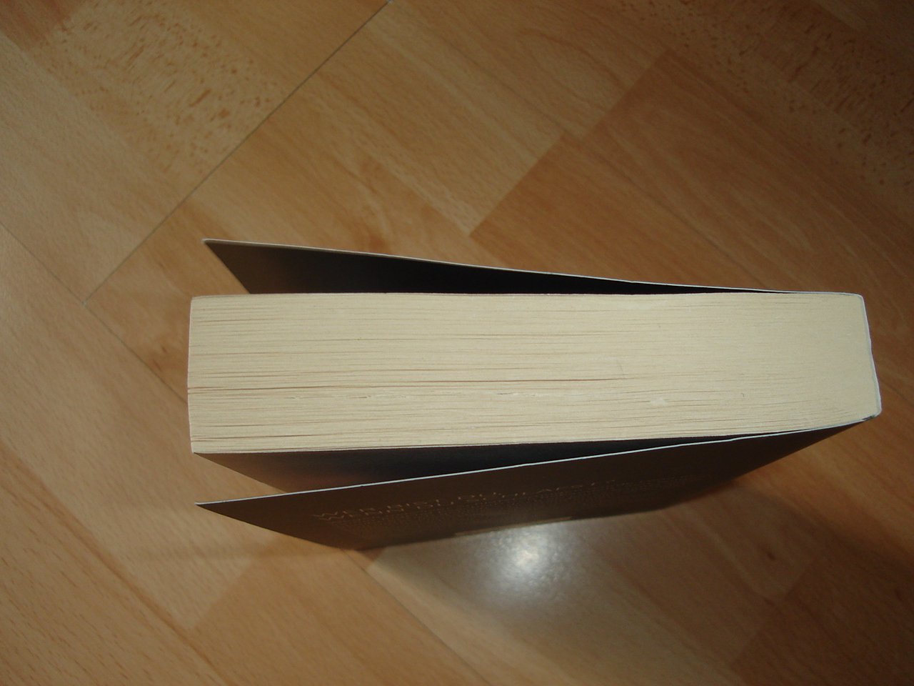 Der Nachtwandler - Sebastian Fitzek - Taschenbuch - Neuwertig - 2013