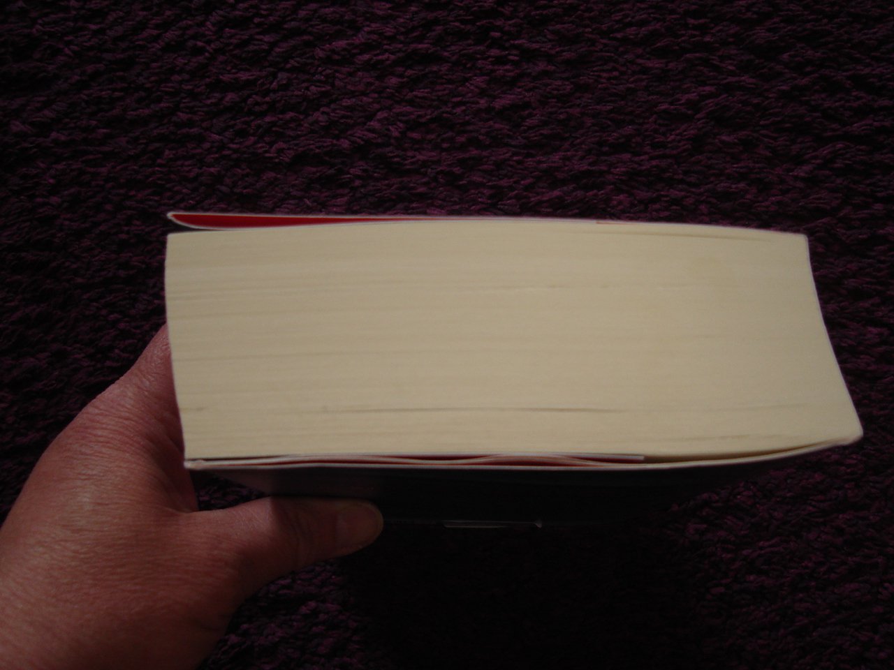 Nele Neuhaus Muttertag Taschenbuch Kriminalroman sehr sehr guter Zustand 