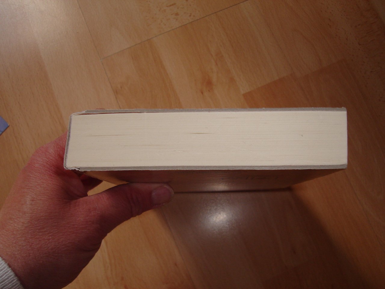 Das Paket - Sebastian Fitzek - gebundene Ausgabe - Neuwertig - 2016