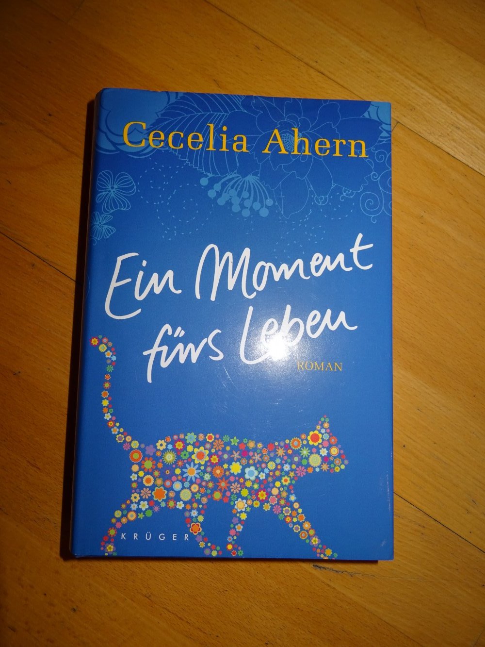 Cecelia Ahern - Ein Moment fürs Leben - gebundene Ausgabe - neuwertig 