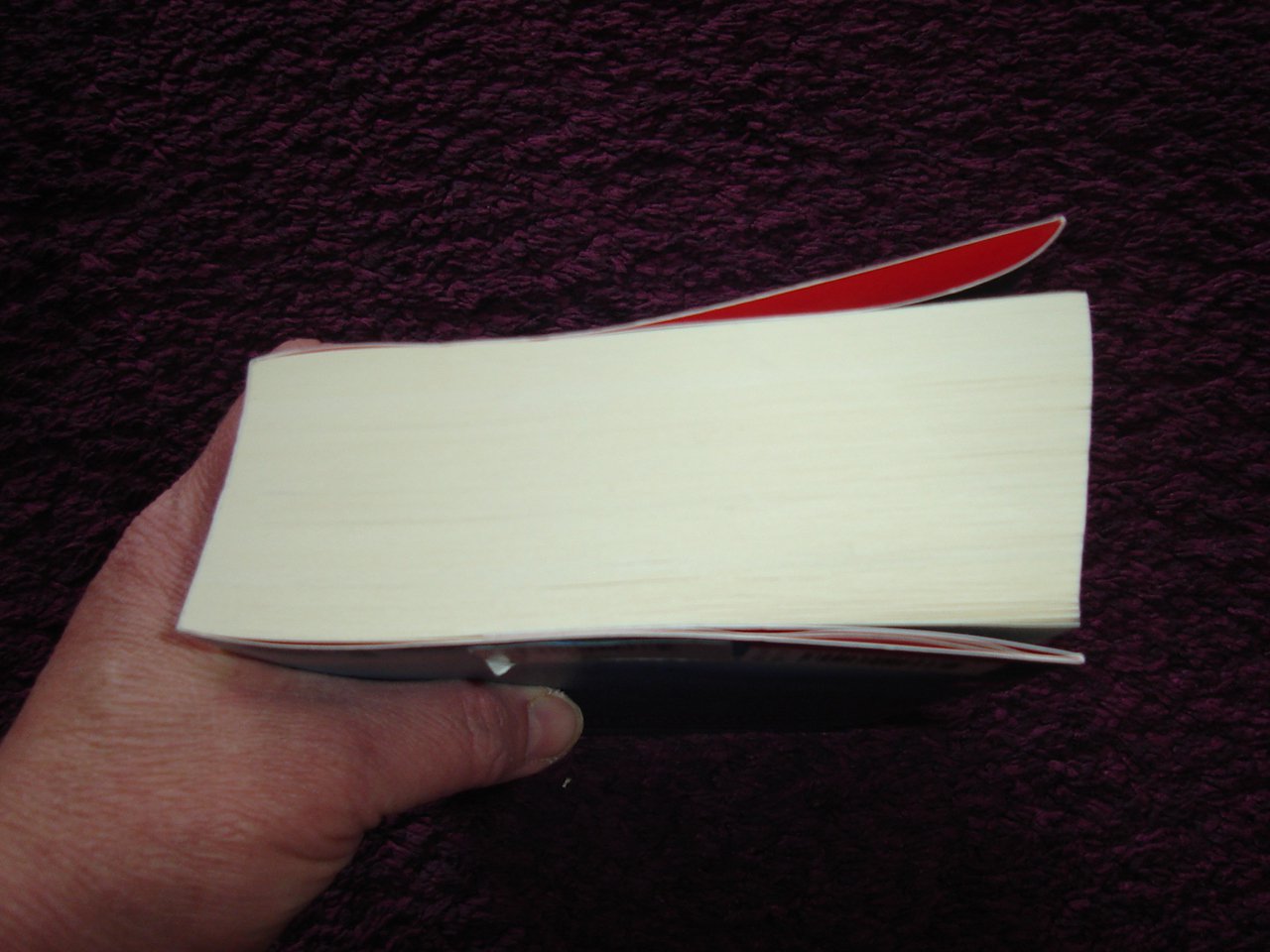 Nele Neuhaus Muttertag Taschenbuch Kriminalroman sehr sehr guter Zustand 