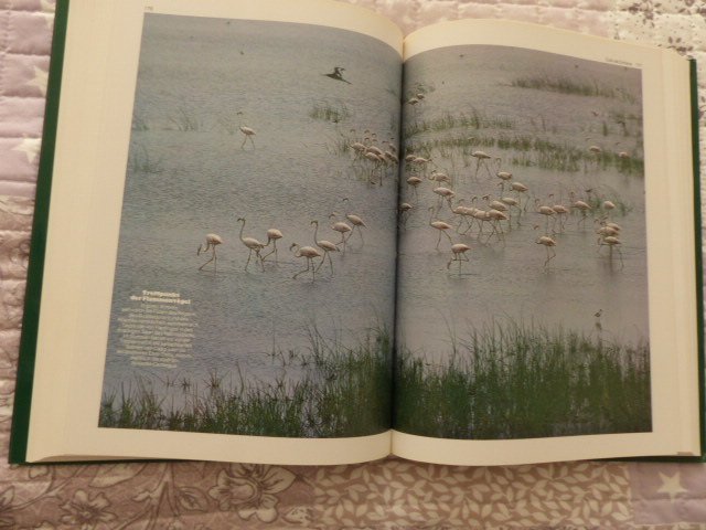 Bedrohte Paradiese. Ein GEO-Buch. NEU Von Peter Schille und Hans W. Silvester Erkundungen in Europas schönsten Naturreservaten.  Andere GEO-Bücher können auch erworben werden.