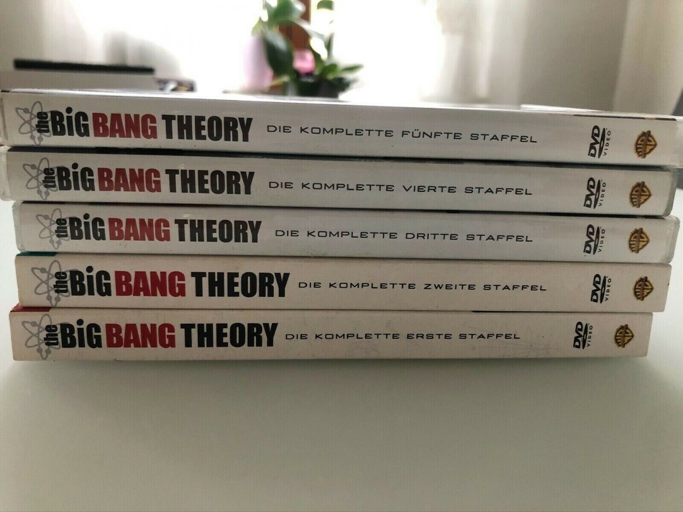 DVD Staffel 1-5  the big bang Theorie 