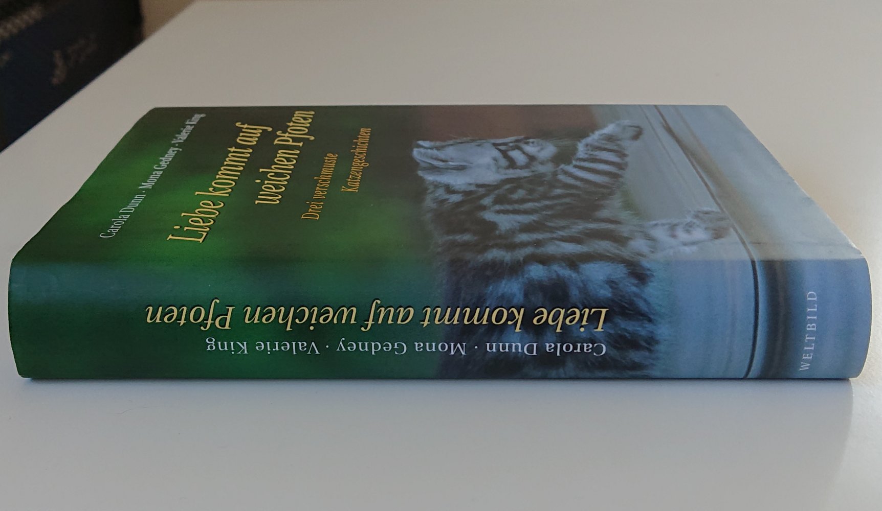 Liebe kommt auf weichen Pfoten