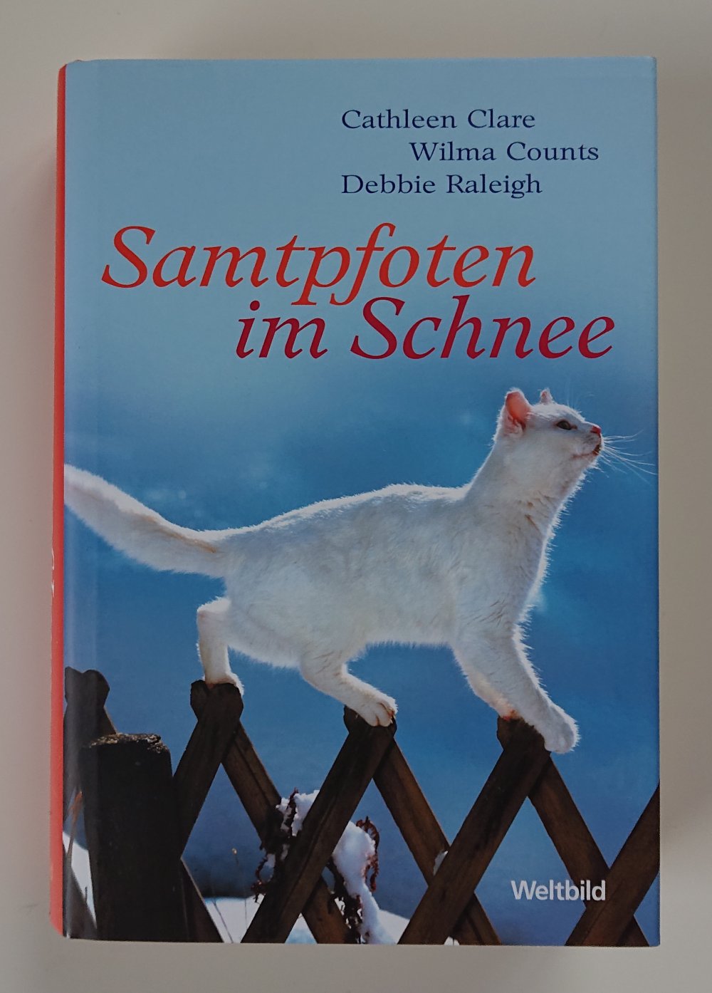 Samtpfoten im Schnee