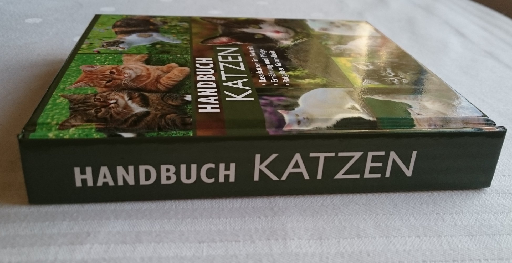 Handbuch Katzen. Rassekatzen im Portrait - Ernährung und Pflege - Ratgeber Gesundheit