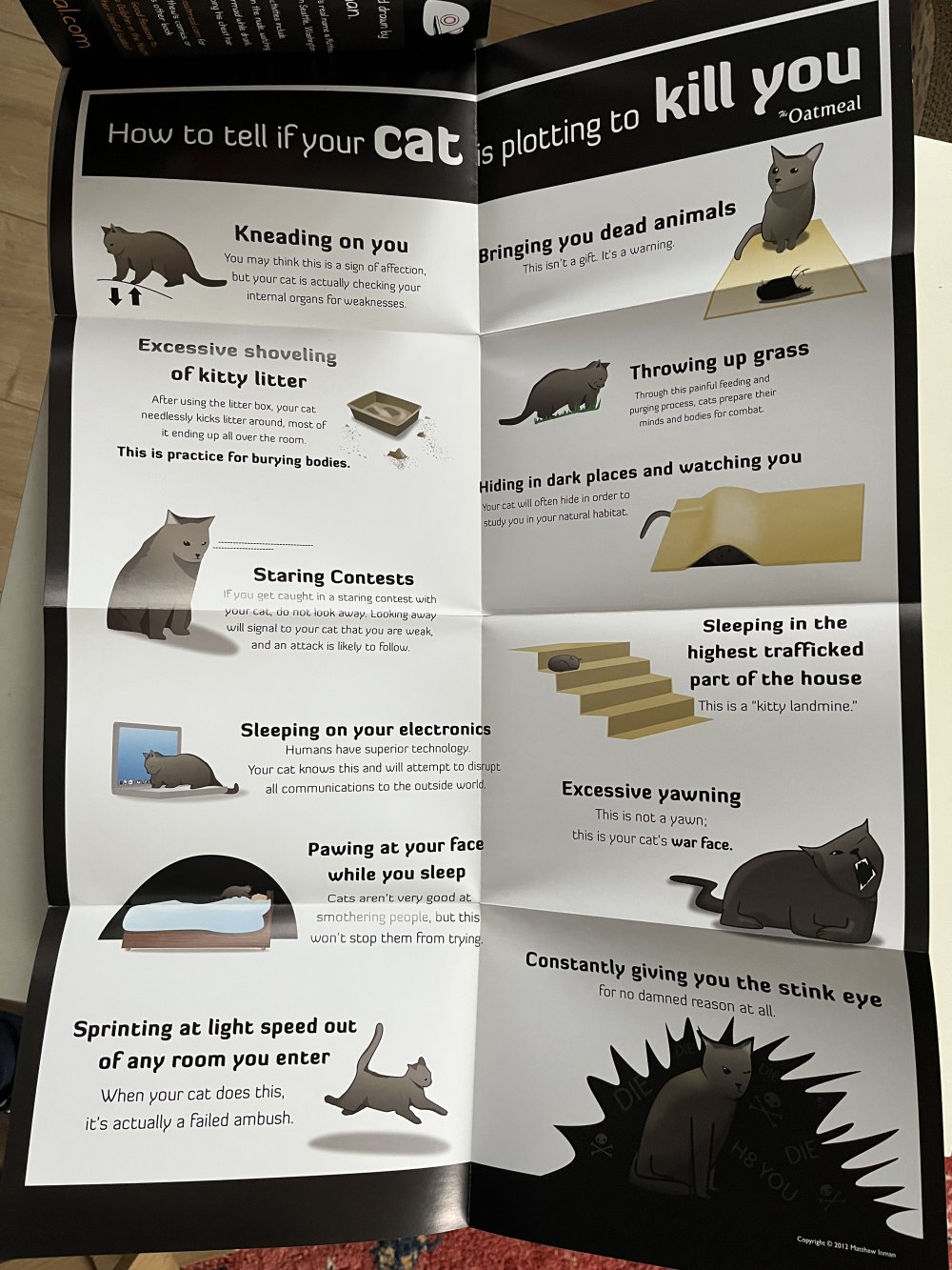 How to tell if your cat is plotting to kill you (English)