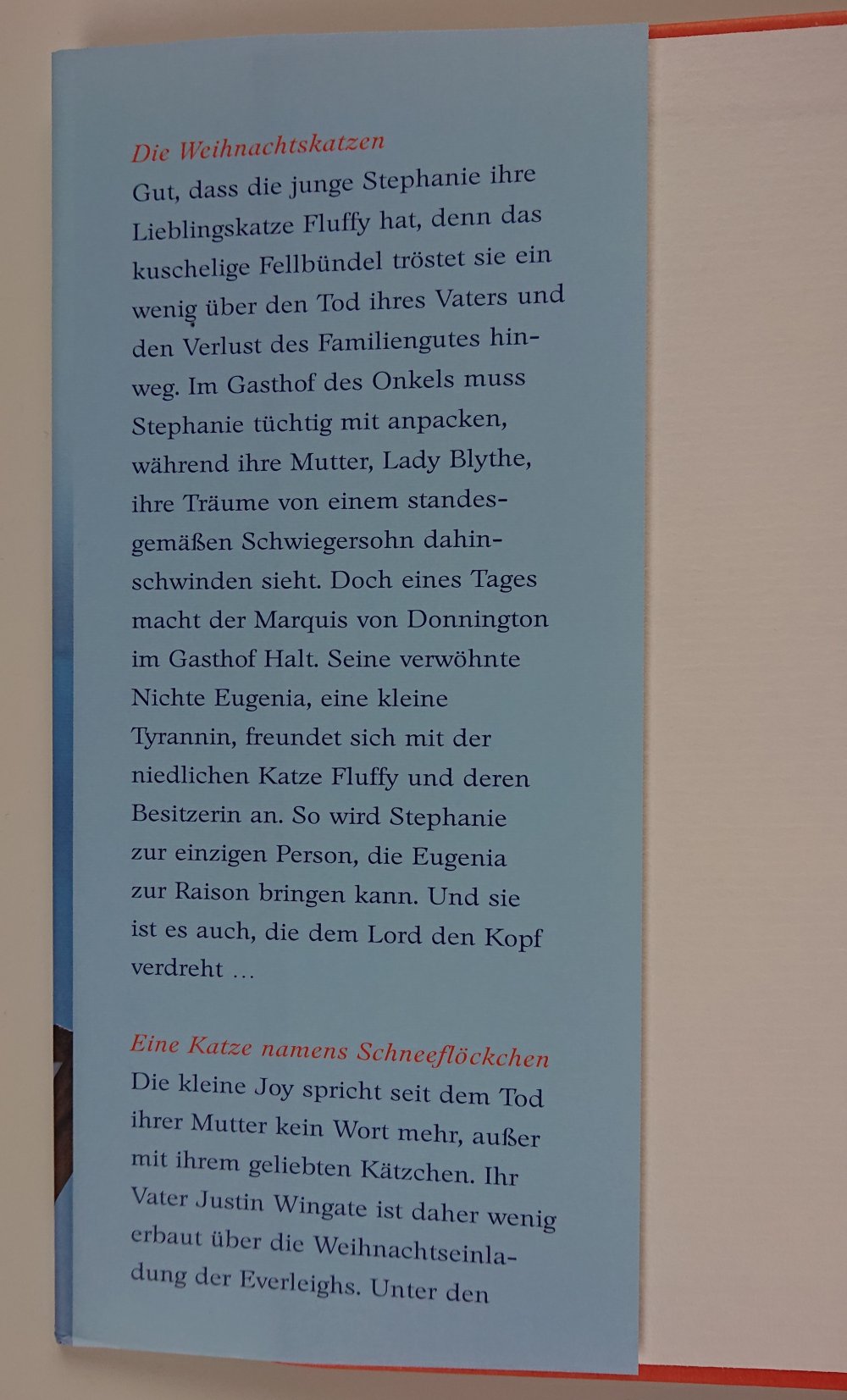 Samtpfoten im Schnee