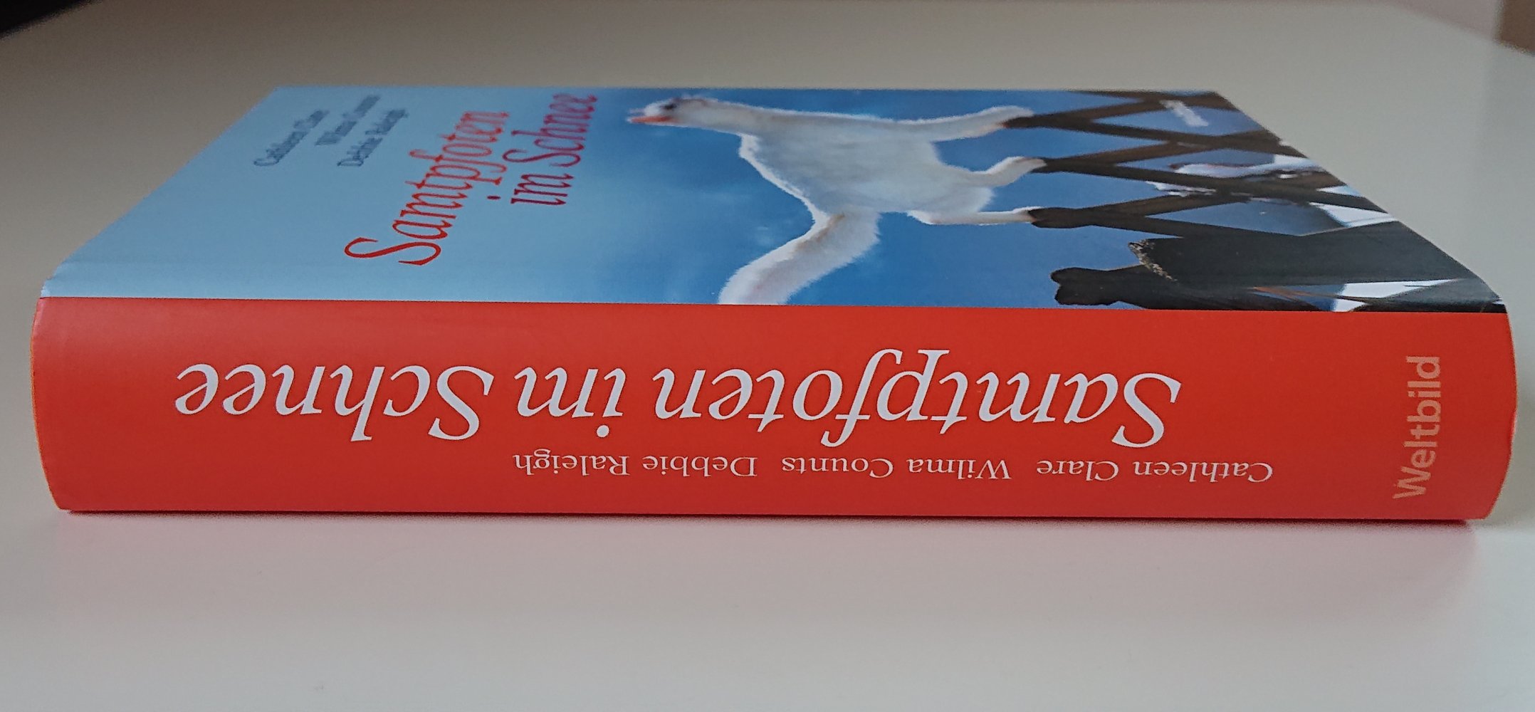 Samtpfoten im Schnee