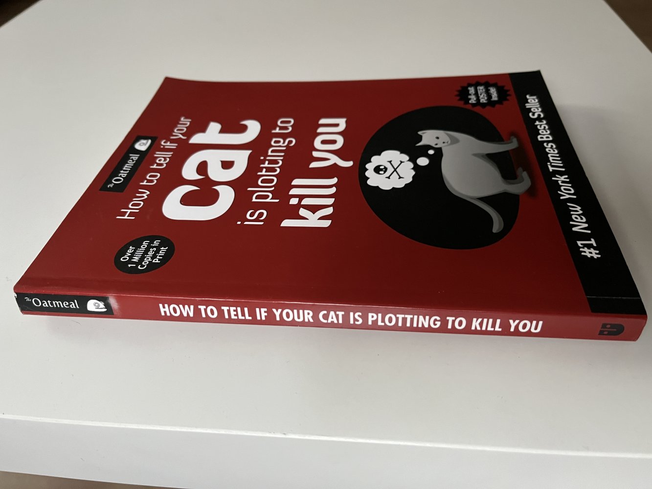 How to tell if your cat is plotting to kill you (English)