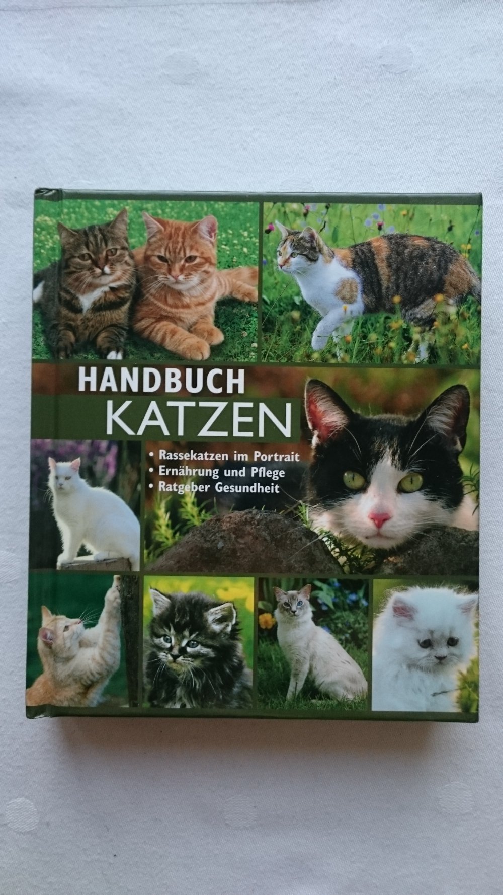 Handbuch Katzen. Rassekatzen im Portrait - Ernährung und Pflege - Ratgeber Gesundheit