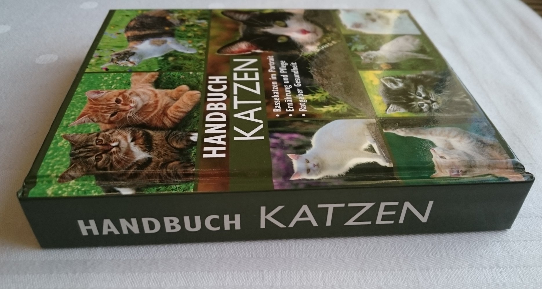 Handbuch Katzen. Rassekatzen im Portrait - Ernährung und Pflege - Ratgeber Gesundheit