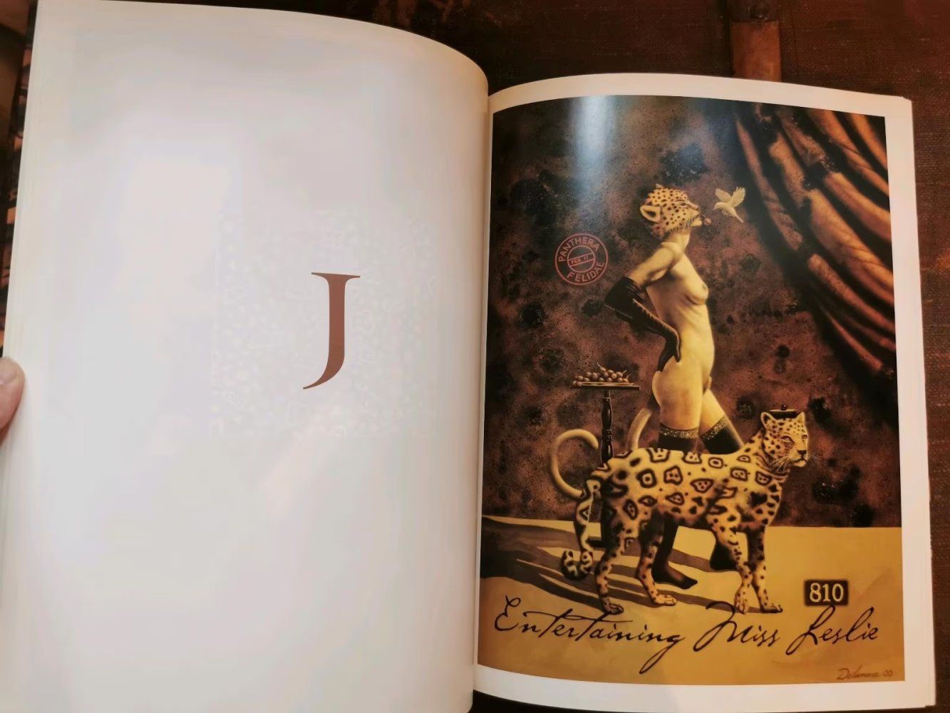 Animerotics - David Delamare Forbidden Cabaret in 26 Acts Artbook