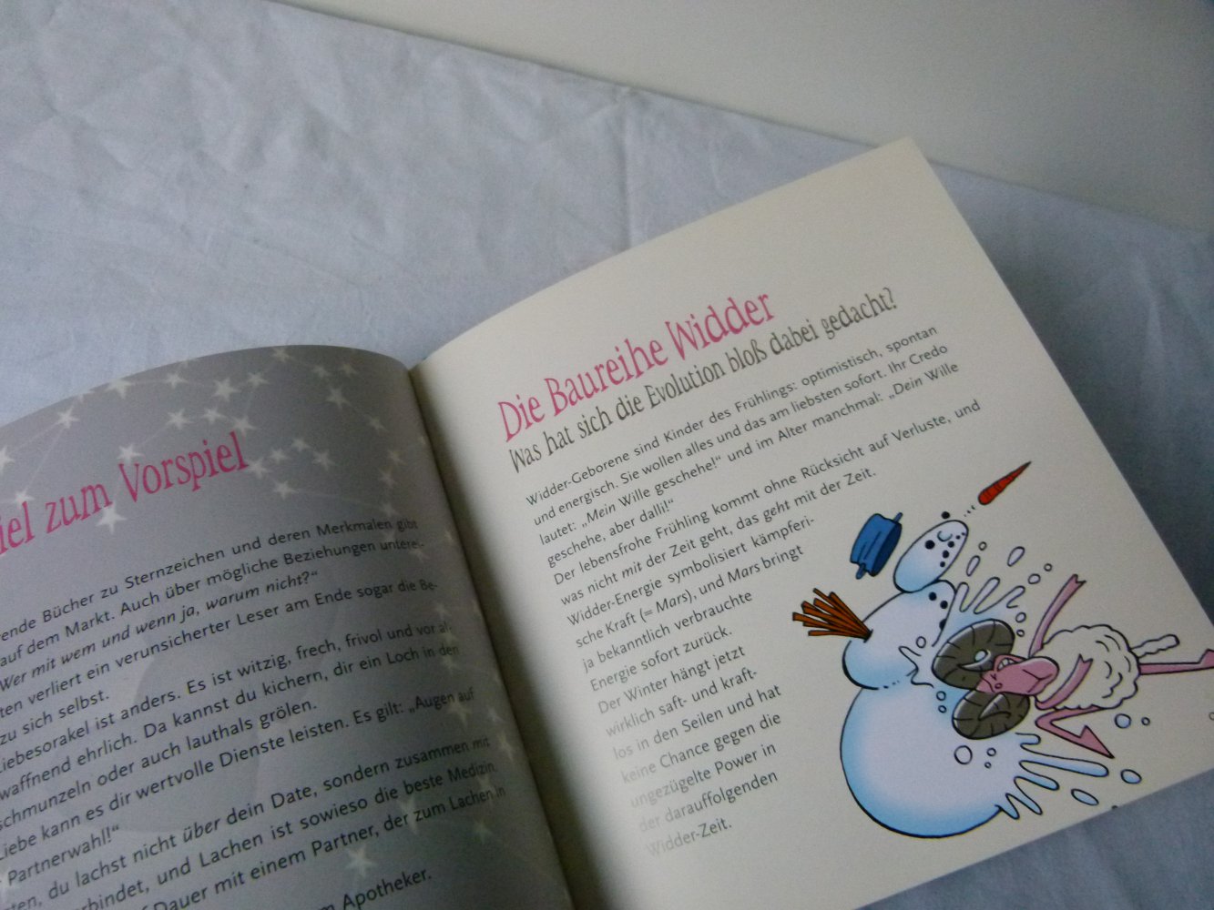 Das Liebesorakel Widder 21.03.-20.04., lustiges, freches Sternzeichenbuch, gebundene Ausgabe