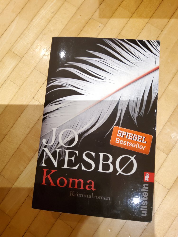 Jo Nesbo Koma