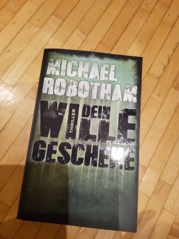 Robotham Dein Wille geschehe
