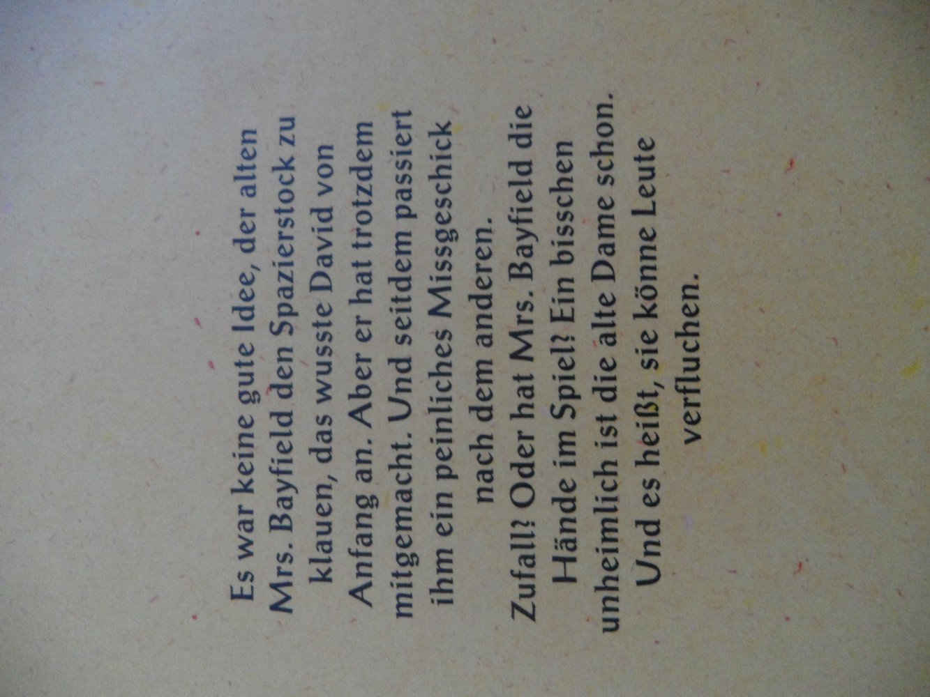 Jugendbuch Der Fluch des David Ballinger 