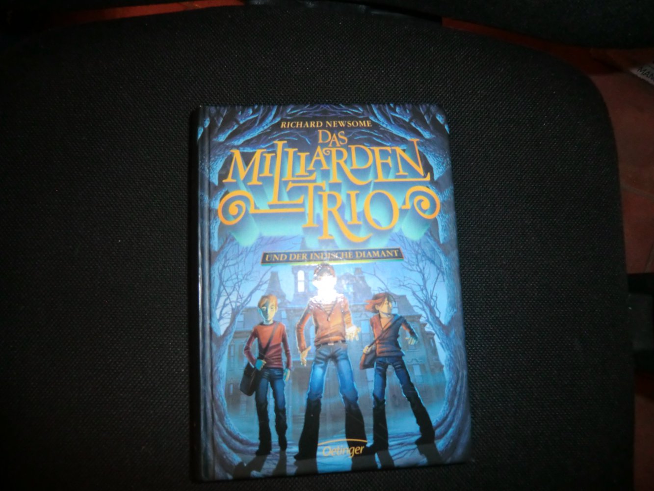 Buch Das Milliarden Trio  Und der Indische Diamant 
