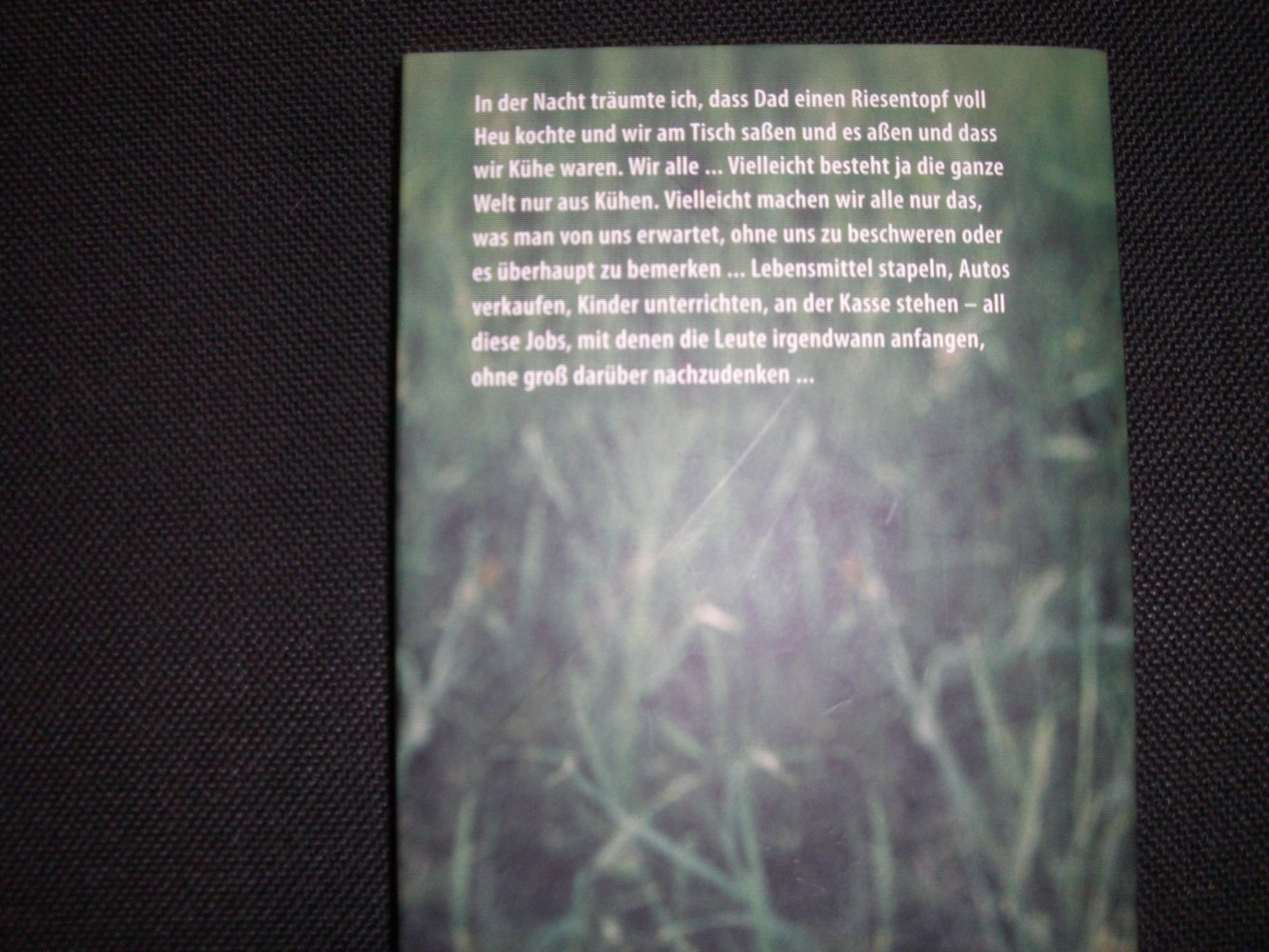 Buch Taschenbuch Wir Kühe 