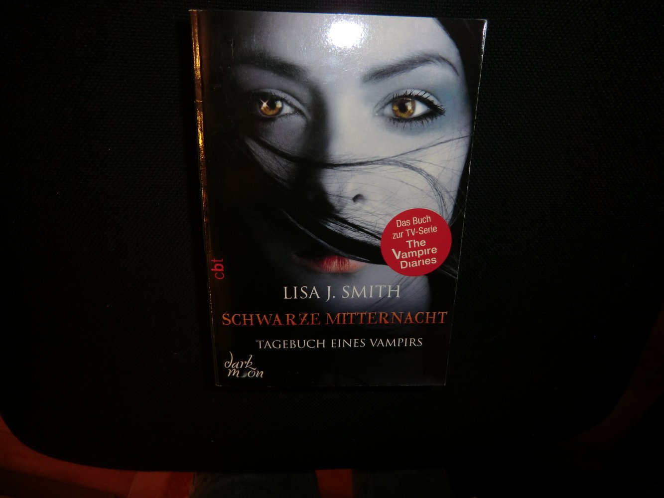 Tagebuch eines Vampirs Schwarze Mitternacht 