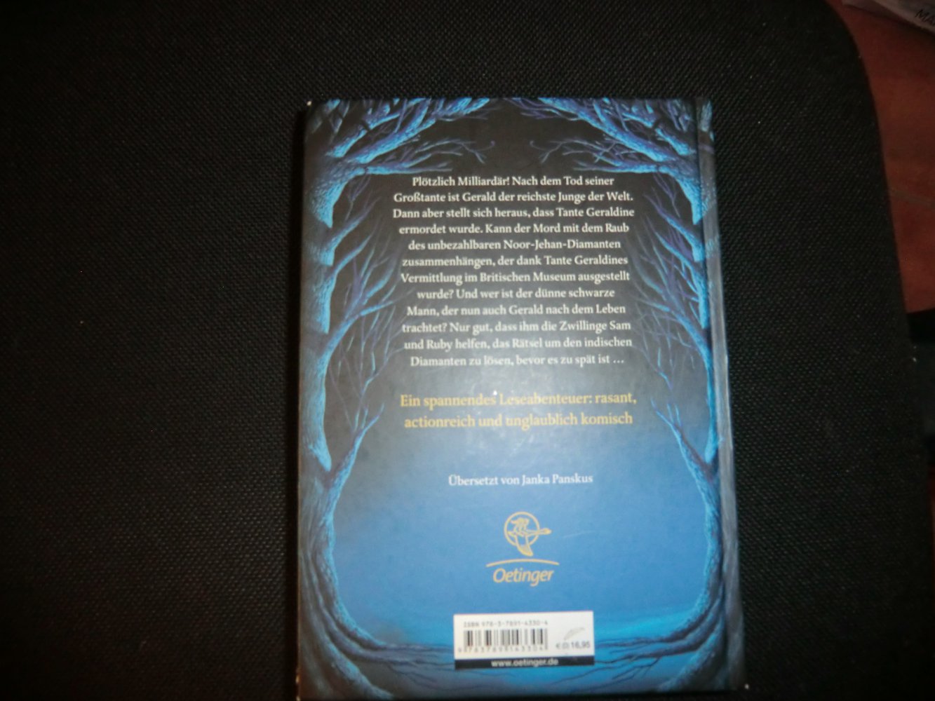 Buch Das Milliarden Trio  Und der Indische Diamant 