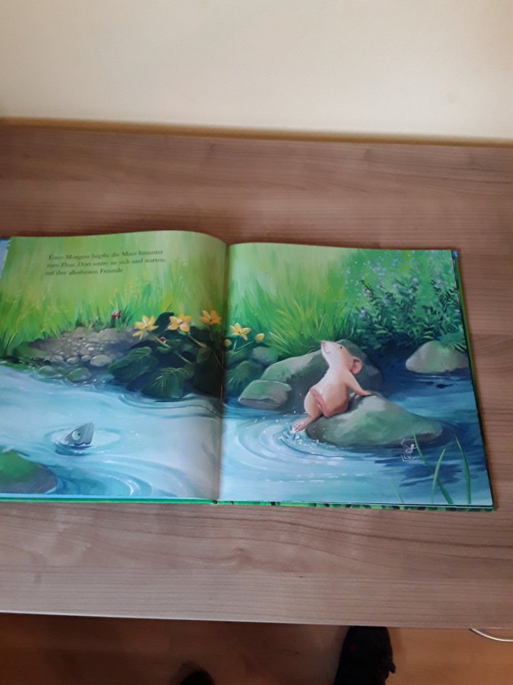 wunderschönes Kinderbuch 