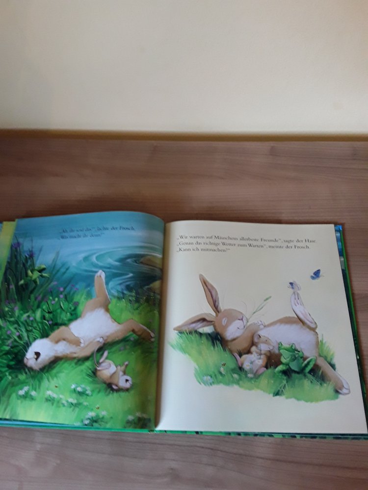 wunderschönes Kinderbuch 