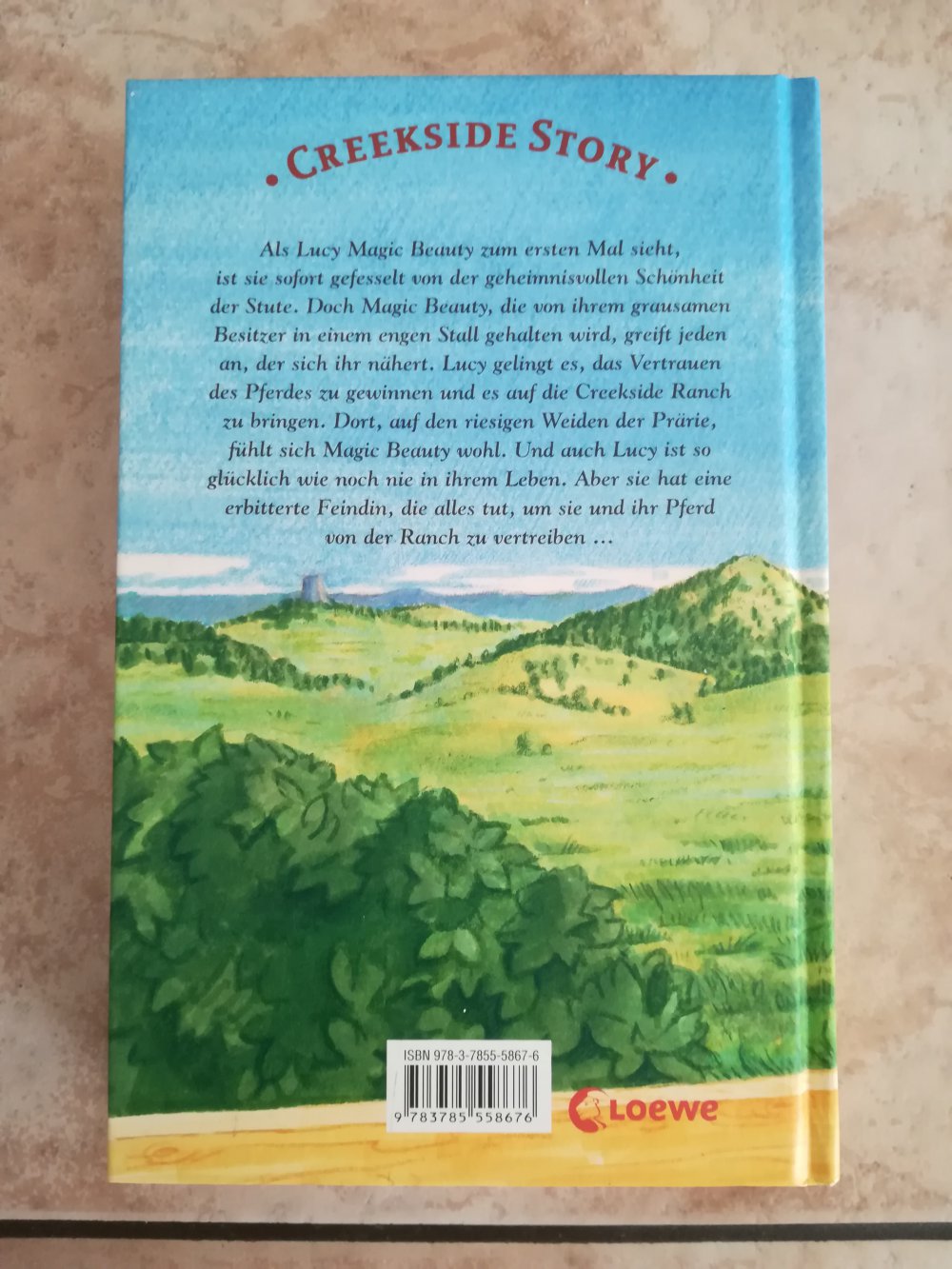 Buch Creekside Story von Loewe 