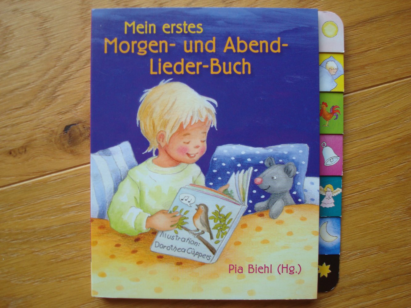 Buch, Liederbuch neu
