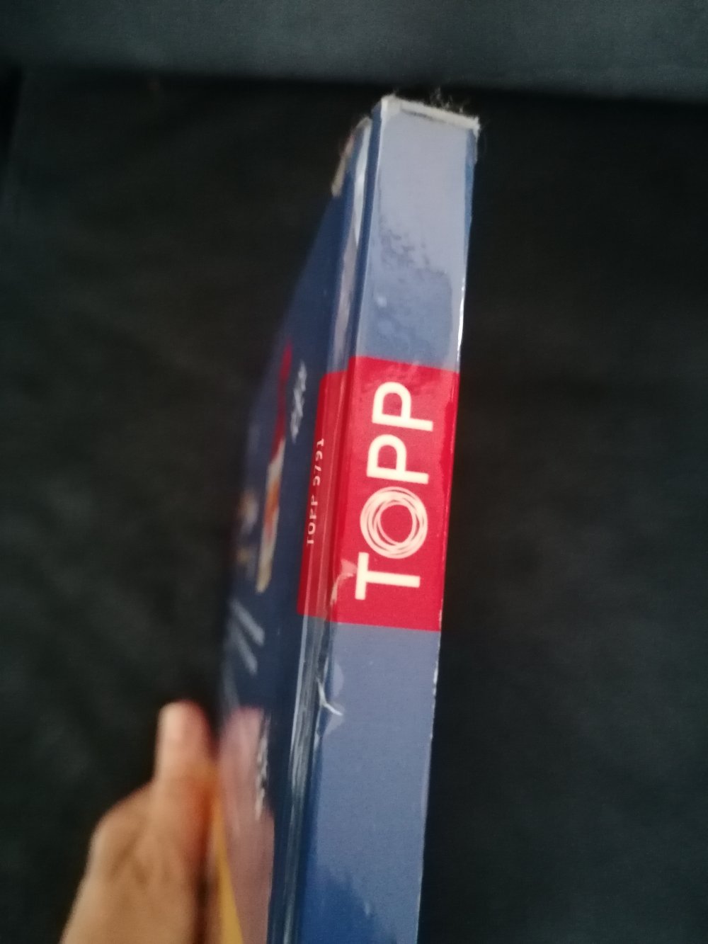 TOPP: Bastelhits für Kids. Weihnachten