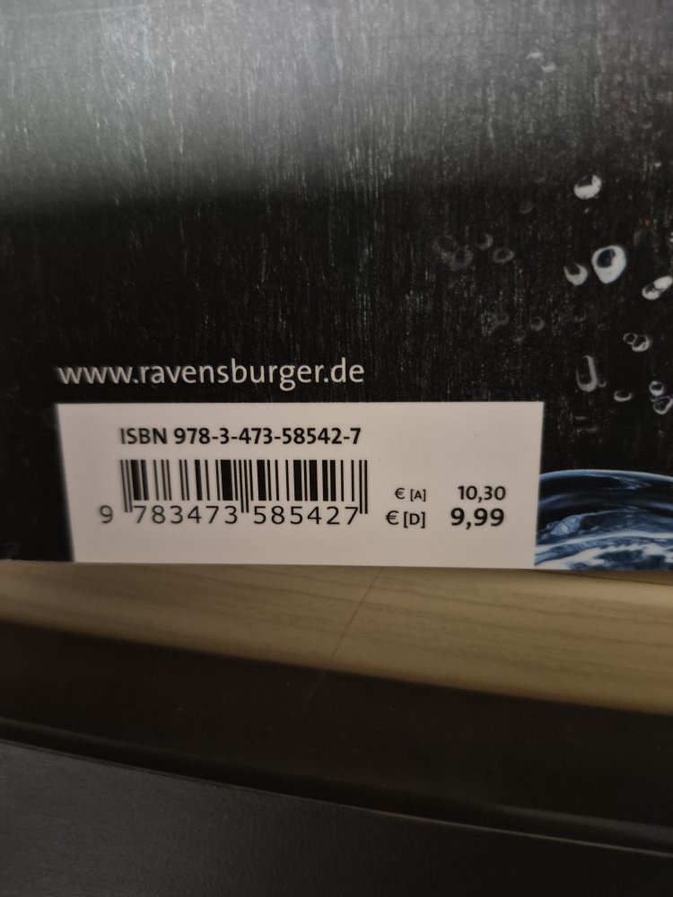 Viking Warriors. Der Pfeil des Verrats