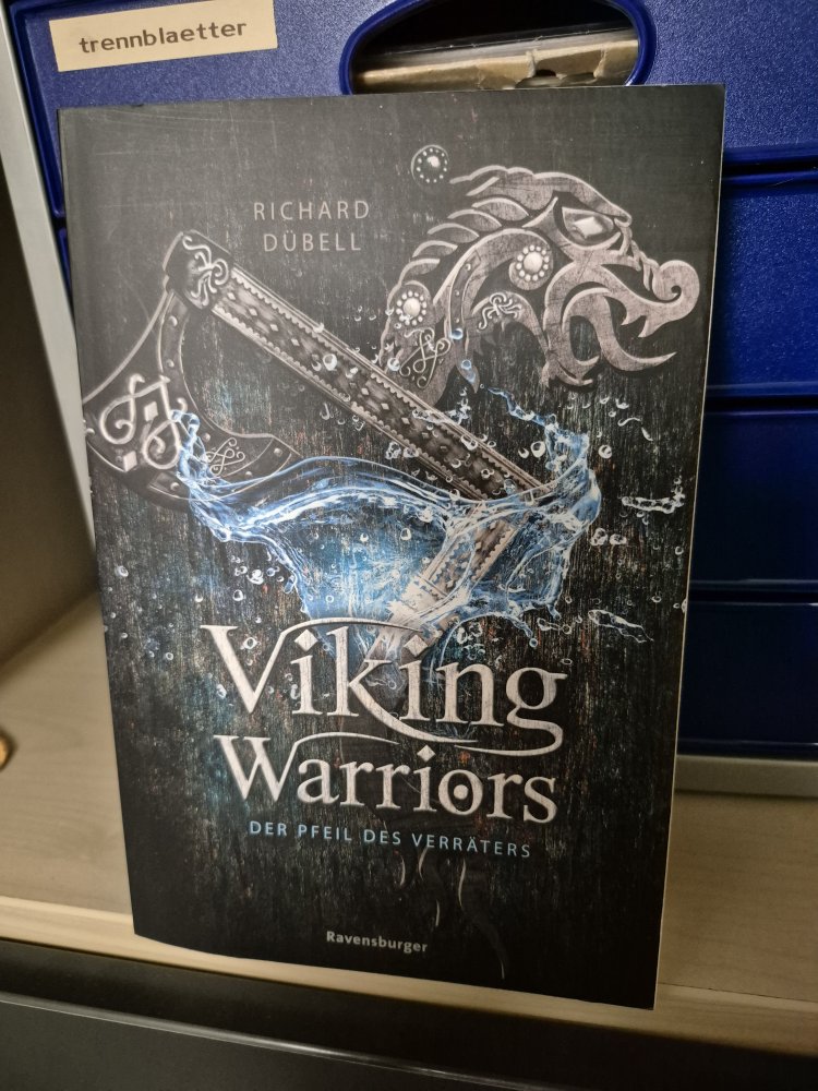 Viking Warriors. Der Pfeil des Verrats