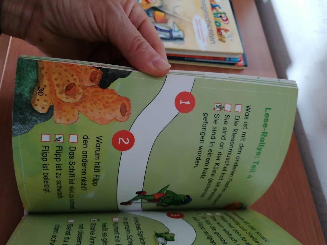 Flipp allein im Ozean