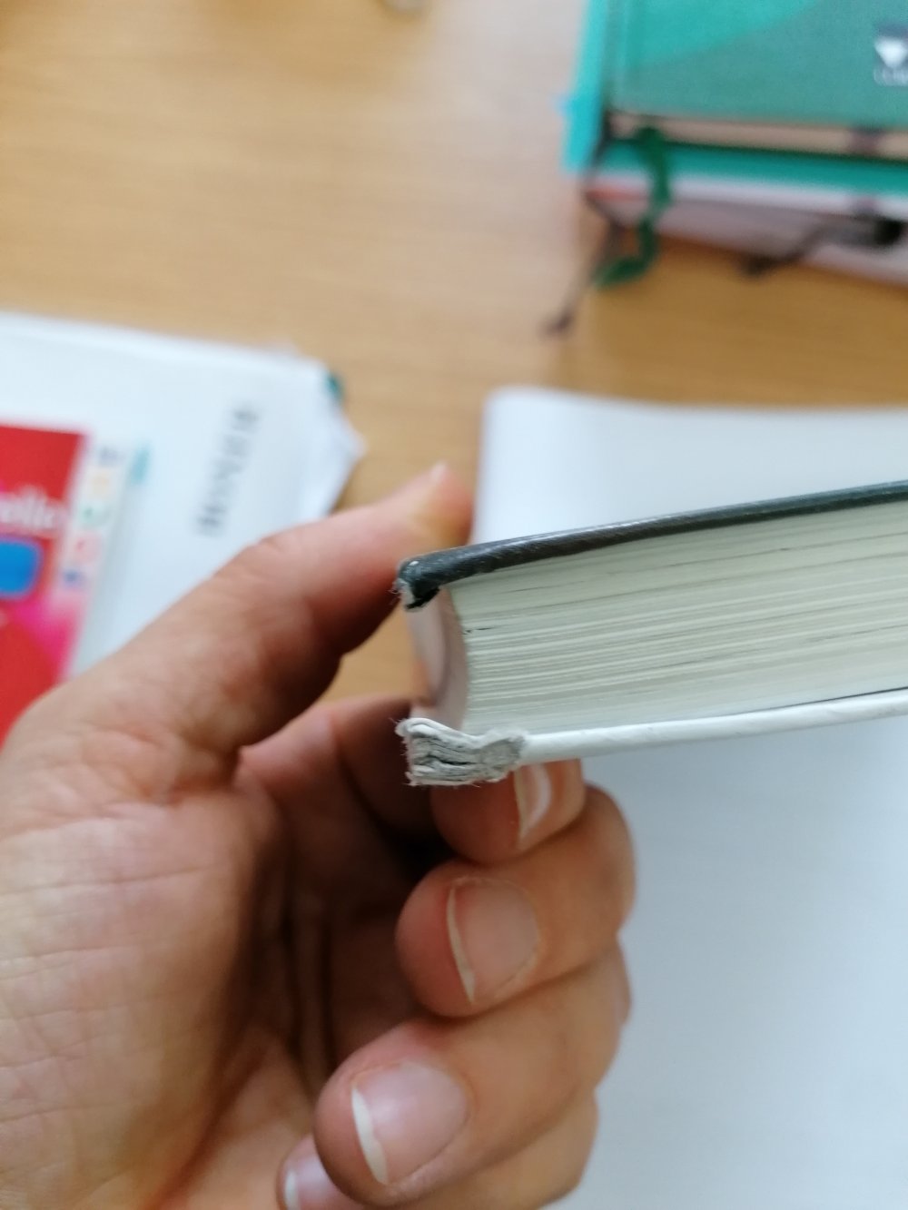 P.A.U.L. D. Persönliches Arbeits- und Lesebuch Deutsch Für Gymnasium