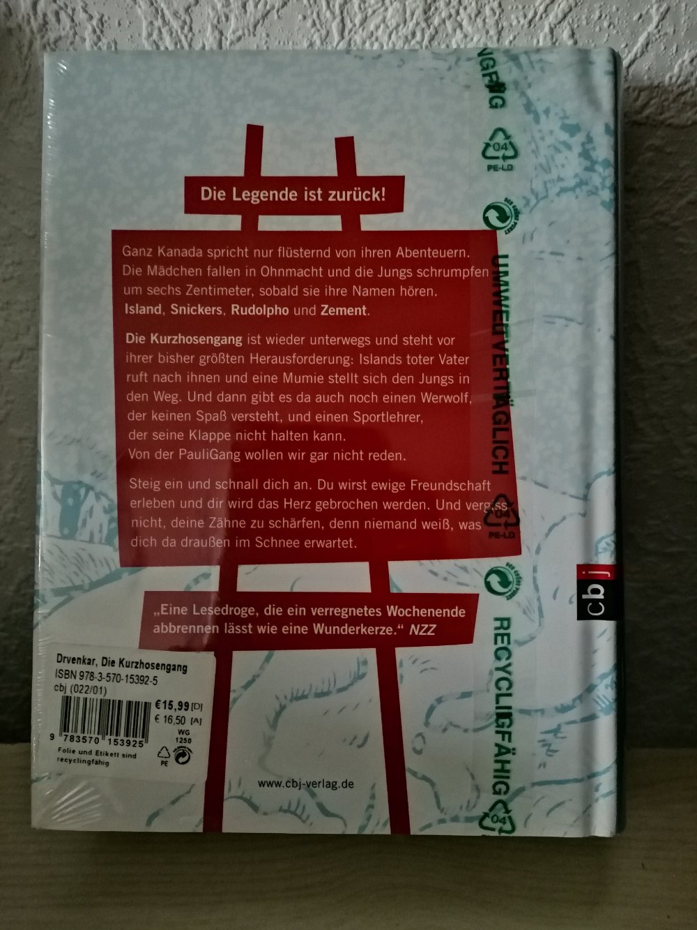 Die Kurzhosengang und das Totem von Okkerville: Band 3