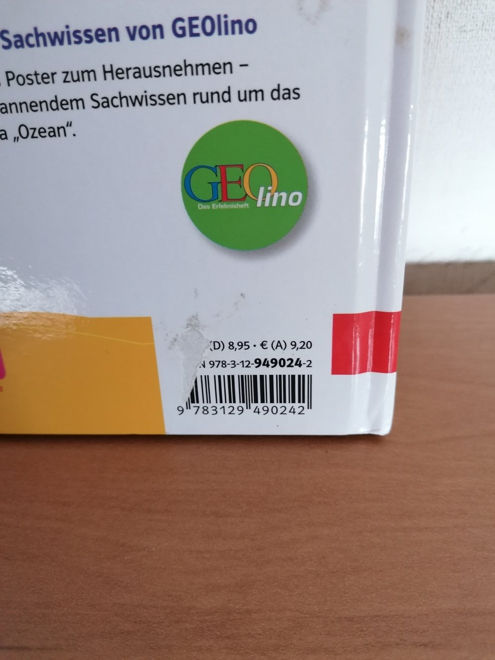 Flipp allein im Ozean