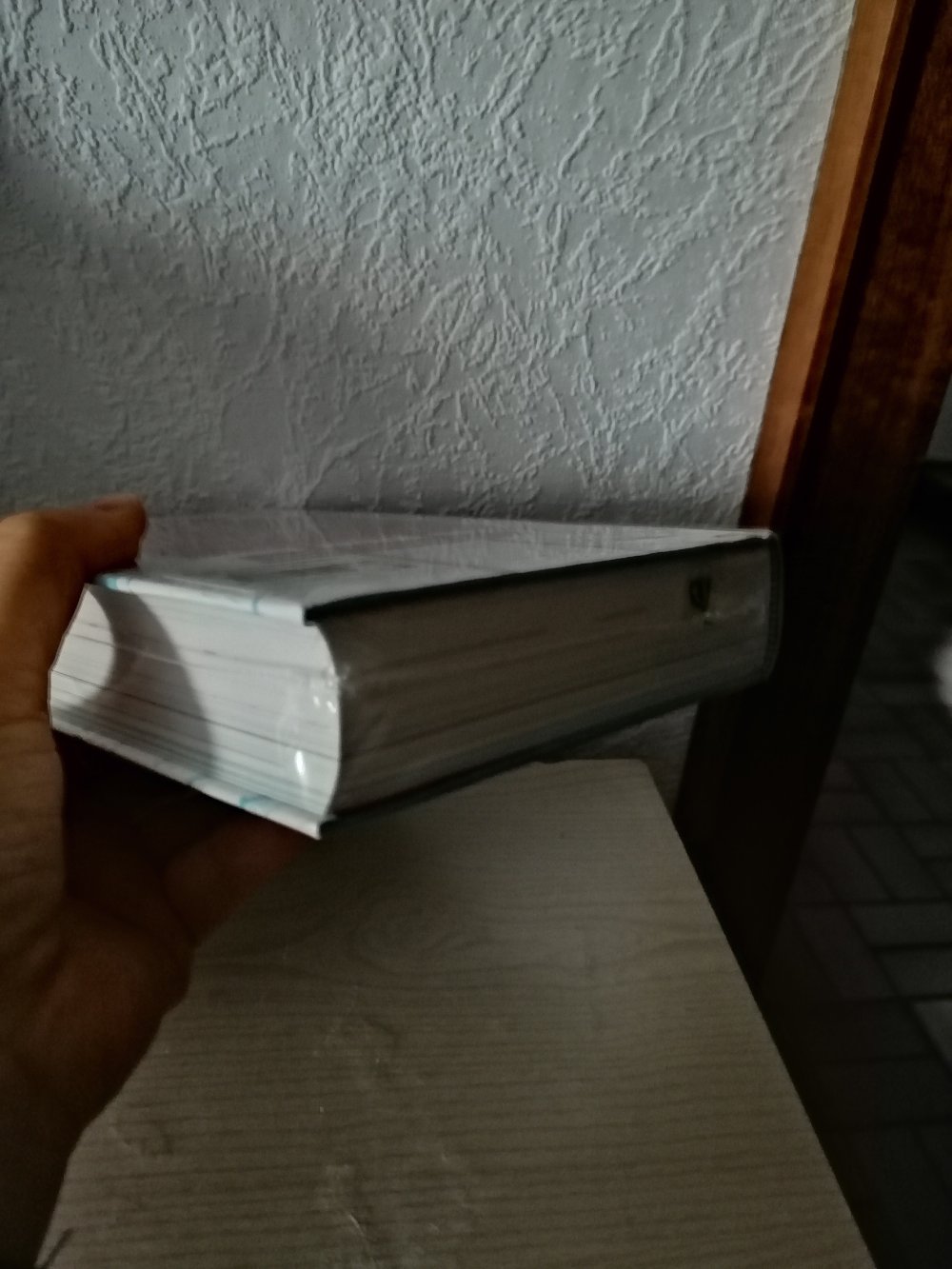 Die Kurzhosengang und das Totem von Okkerville: Band 3