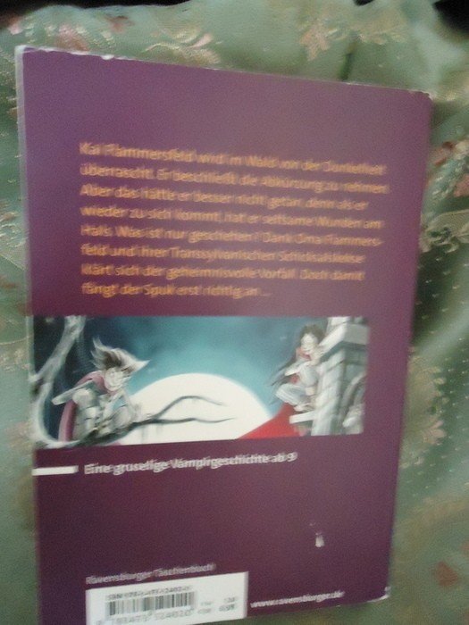 Kai Flammersfeld und die Transsylvanischen Schicksalskekse