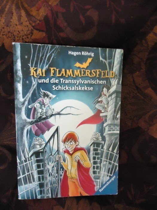 Kai Flammersfeld und die Transsylvanischen Schicksalskekse