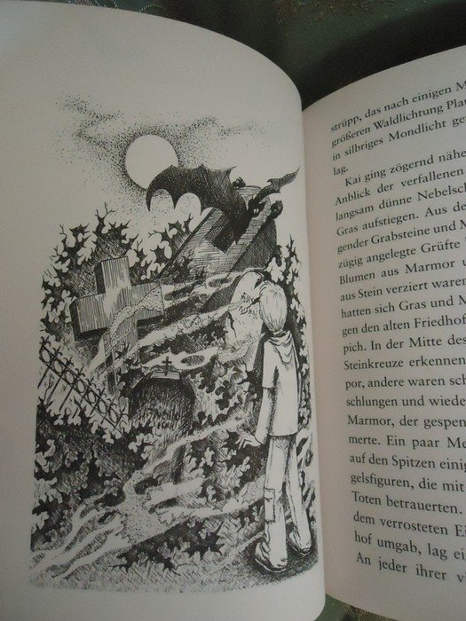 Kai Flammersfeld und die Transsylvanischen Schicksalskekse