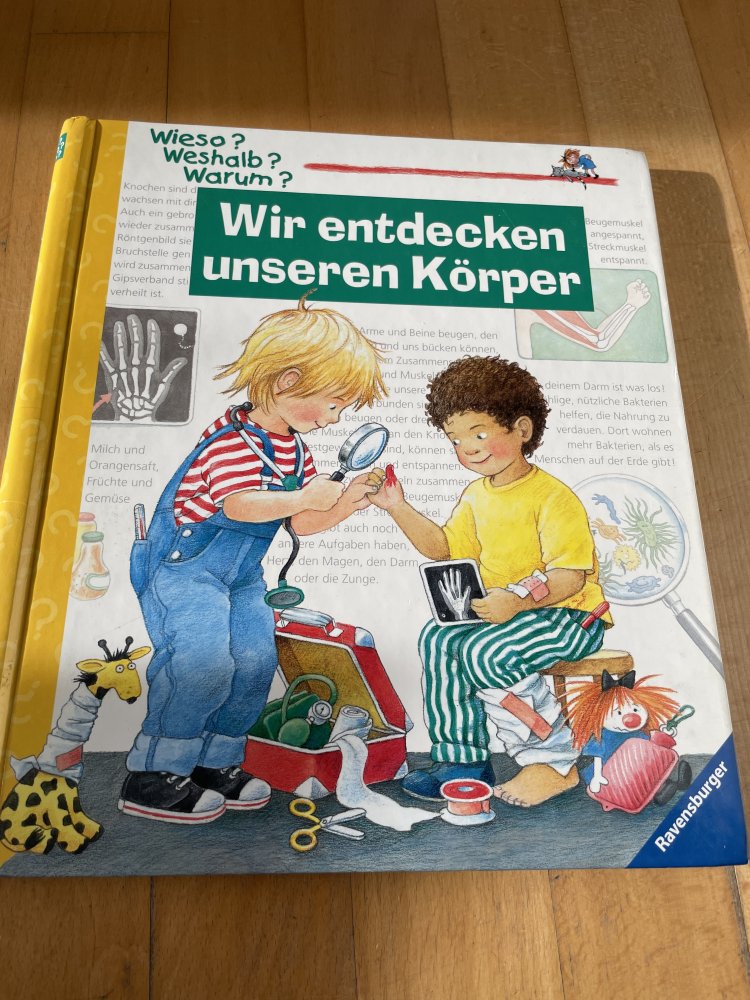 Wir entdecken unseren Körper 