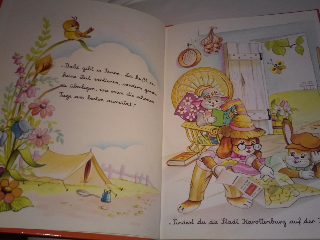  M.Rainaud/I.Flemes: (Hase) Tucki im Zelt -Kinderbuch alt