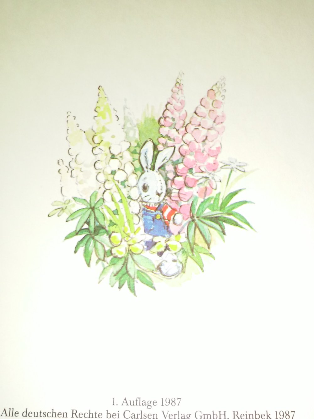  Rosemary Billam: Krümel und Felix - Ein Daxi Buch (65) 1.Alg.