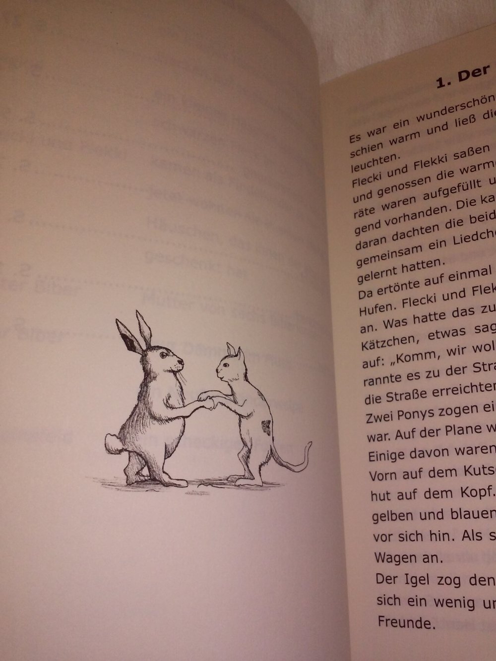 Neu! Die Abenteuer von Flecki & Flekki: Band 2 - Aufregung im Bibertal