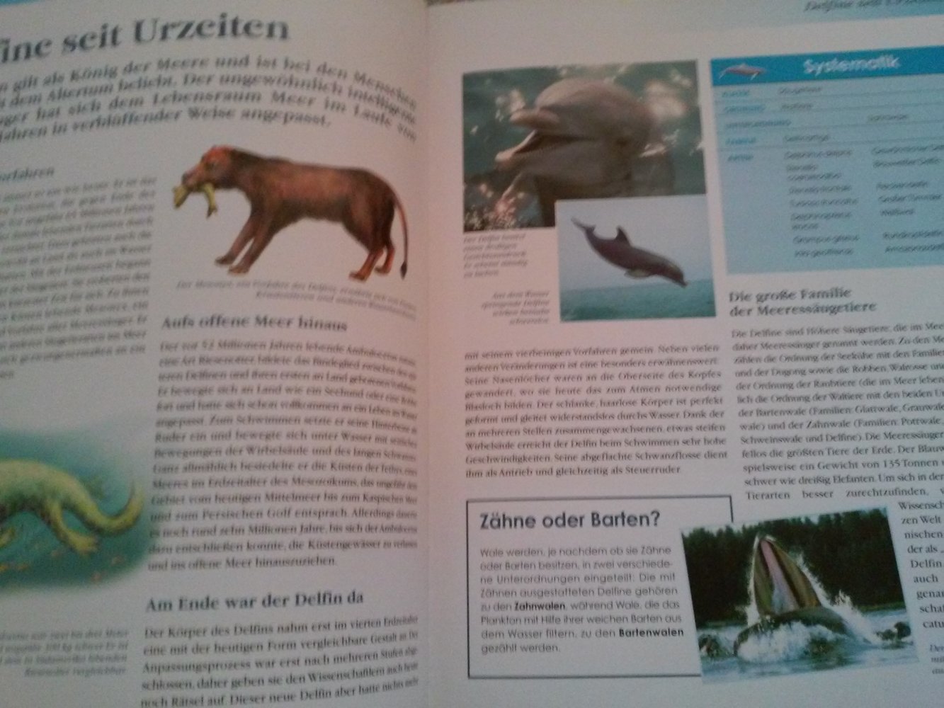 Der Delfin - Ein König Im Ozean inkl.DVD Die letzten Delfine des Mittelmeeres