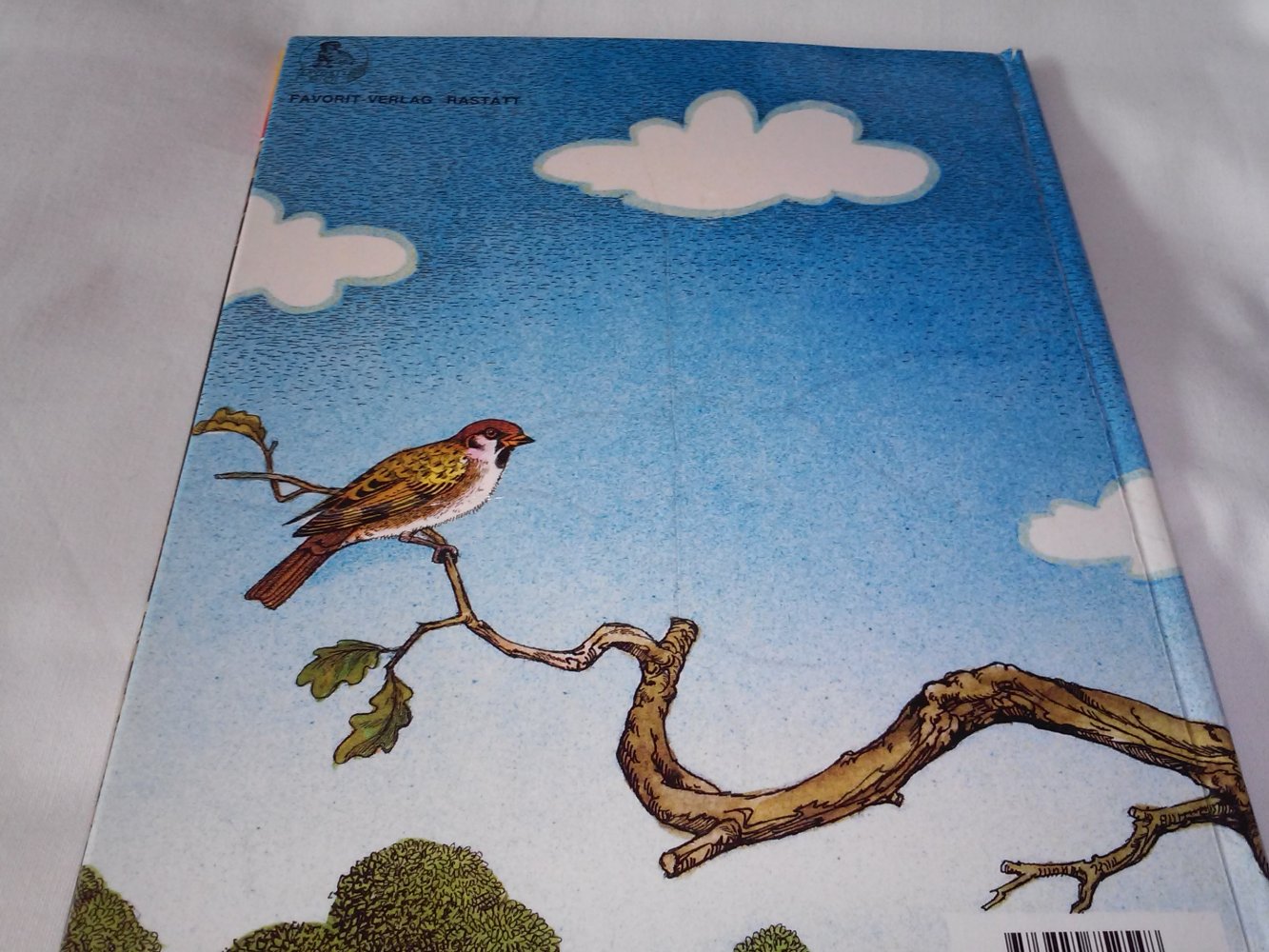 Jane Patience: Regenbogenland - Wollfuß und die Eule - Kinderbuch alt