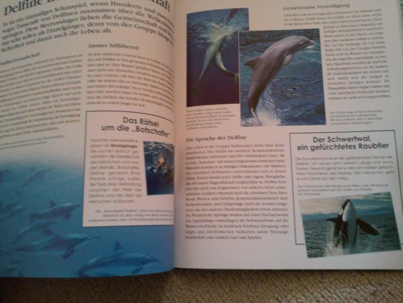 Der Delfin - Ein König Im Ozean inkl.DVD Die letzten Delfine des Mittelmeeres