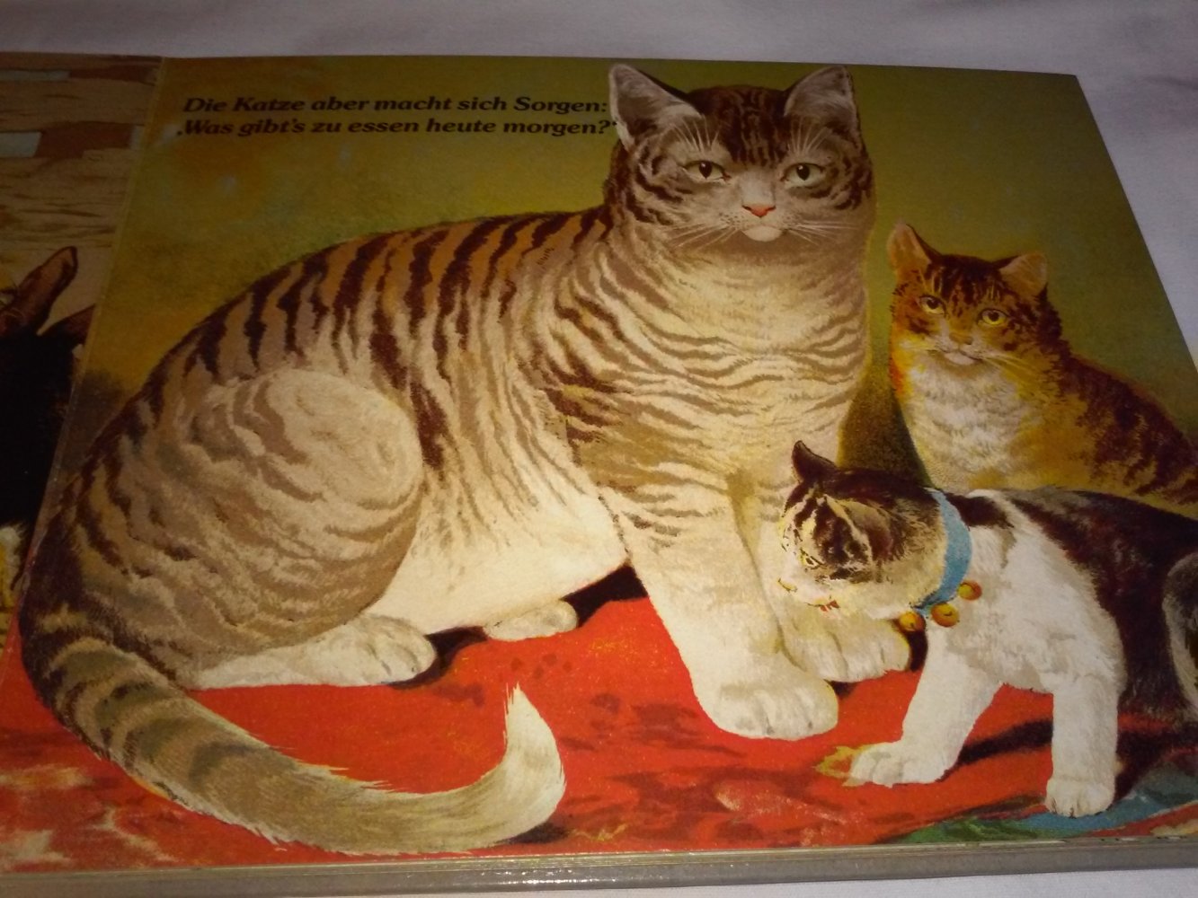 Im Hof und auf der Weide altes Kinderbucch Tierbuch 1988