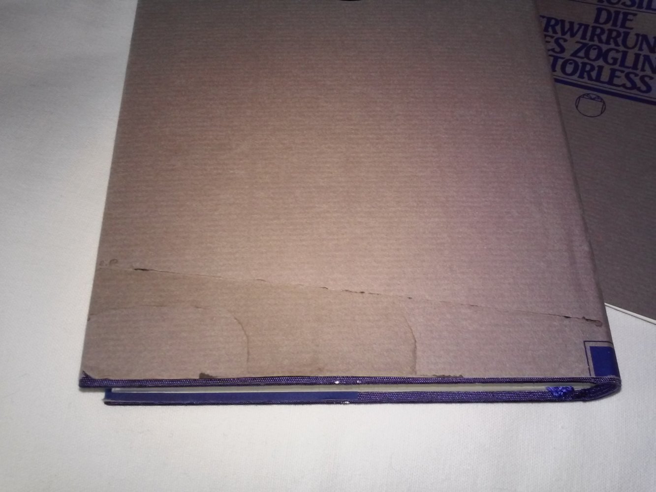 Robert Musil: Die Verwirrungen des Zöglings Törless - Weltliteratur -mit Beiheft