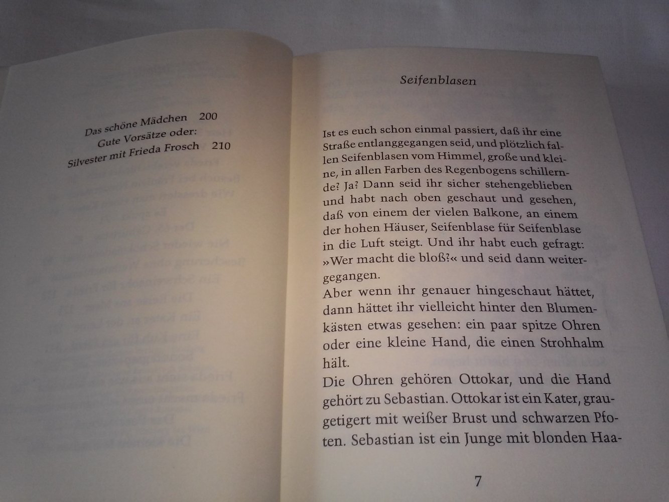 Sabine Ludwig: 21 lustige Geschichten von Frieda Frosch-Kinderbuch alt